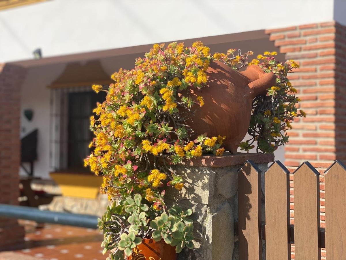 Casas Guemon Guest House Zahora Exterior foto
